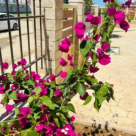 Village Alexiou *